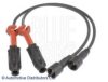 SSANG 1111590118 Ignition Cable Kit